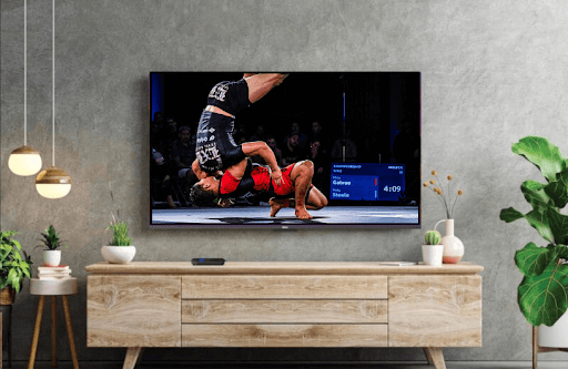 How to Stream Flograppling Matches on Roku
