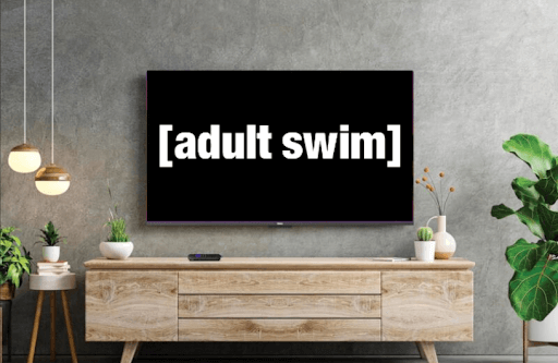 How to Watch Adult Swim TV Series on Roku