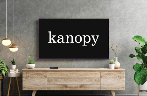 How to Watch Movies and TV Series of Kanopy on Roku