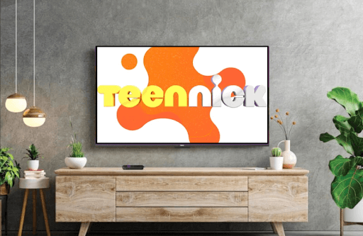 How to Watch TV Series of TeenNick on Roku TV
