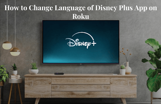 How to Change Language on Disney Plus Roku